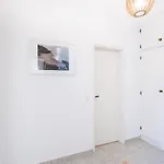 Paraiso Dos Passaros
