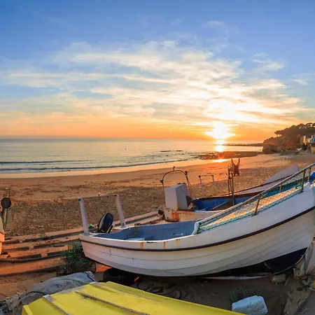 Paraiso Dos Passaros