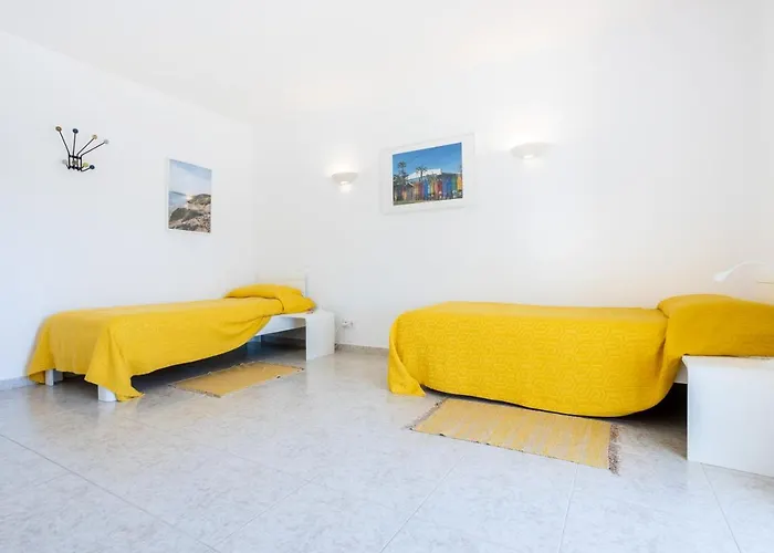 Paraiso Dos Passaros