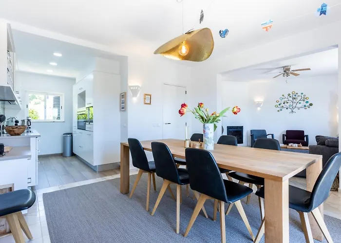 Paraiso Dos Passaros