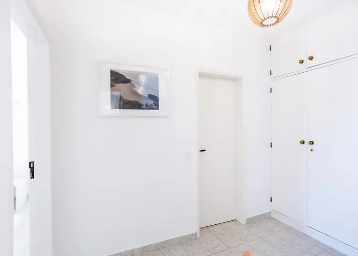 Paraiso Dos Passaros