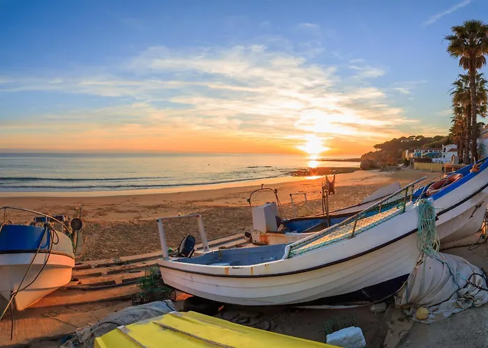 Paraiso Dos Passaros