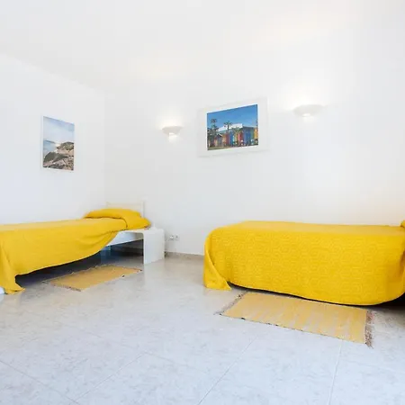 Paraiso Dos Passaros