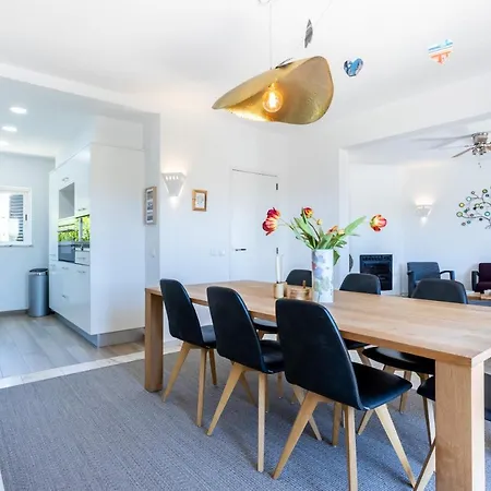 Paraiso Dos Passaros