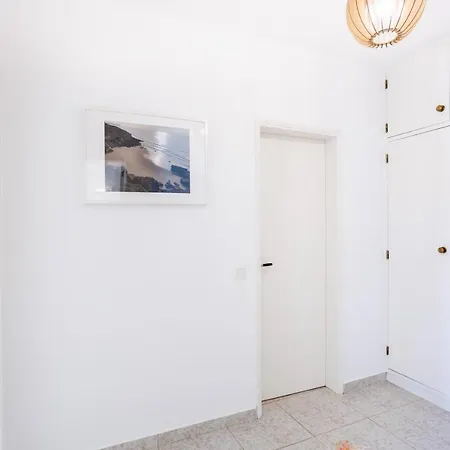 Paraiso Dos Passaros